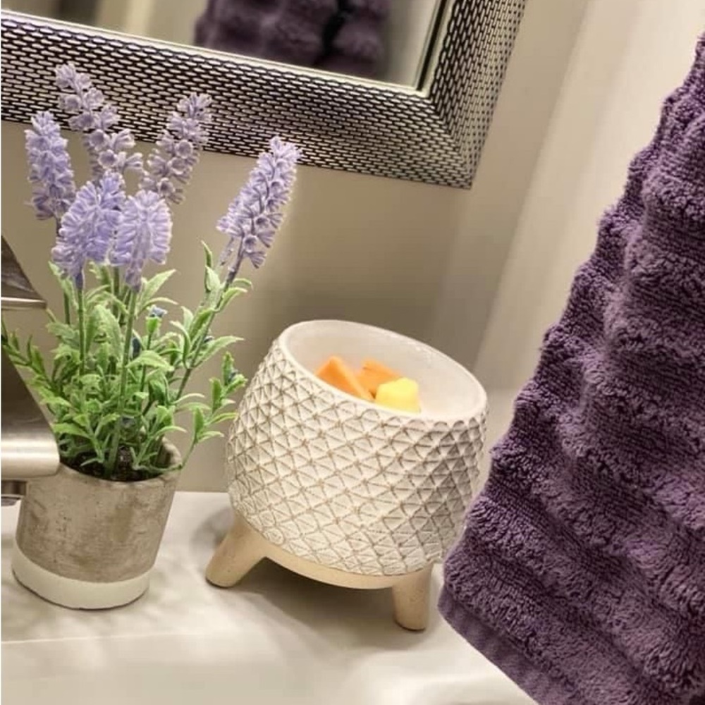 EUC Scentsy Take A Stand Warmer